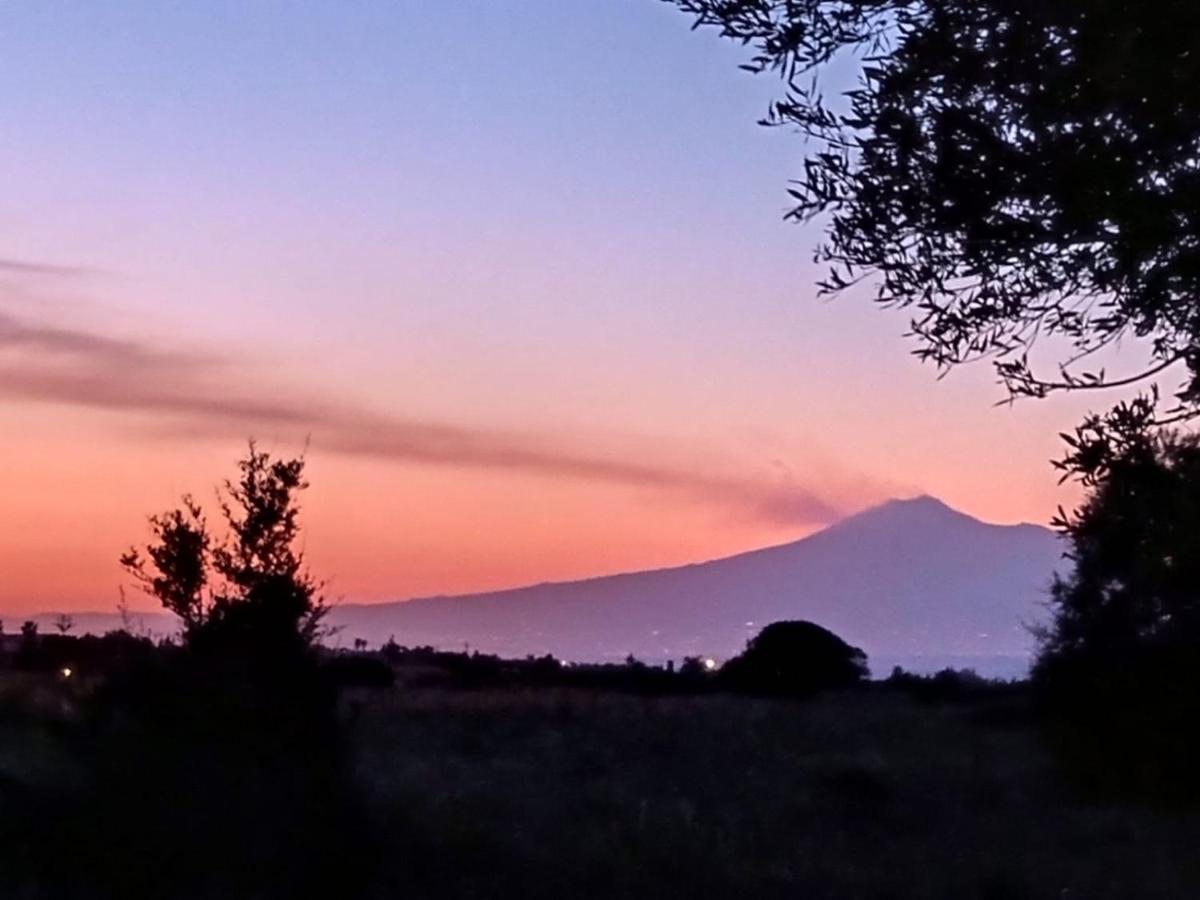 B&B Villa Nella Augusta Dış mekan fotoğraf